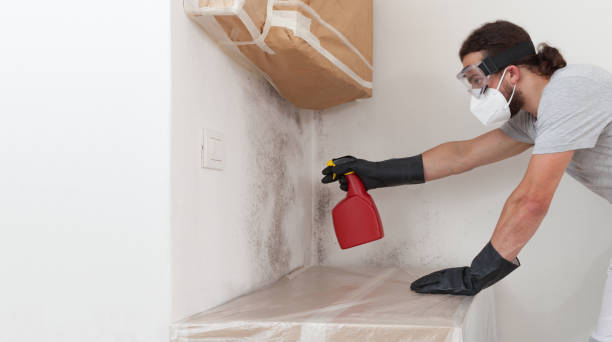 Professional Crawl Space Mold Remediation technician working in Mont Clare, PA