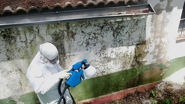 Top rated local Crawl Space Mold Remediation specialists in Mont Clare, PA